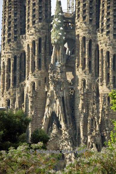 sagrada familia 13 graphic